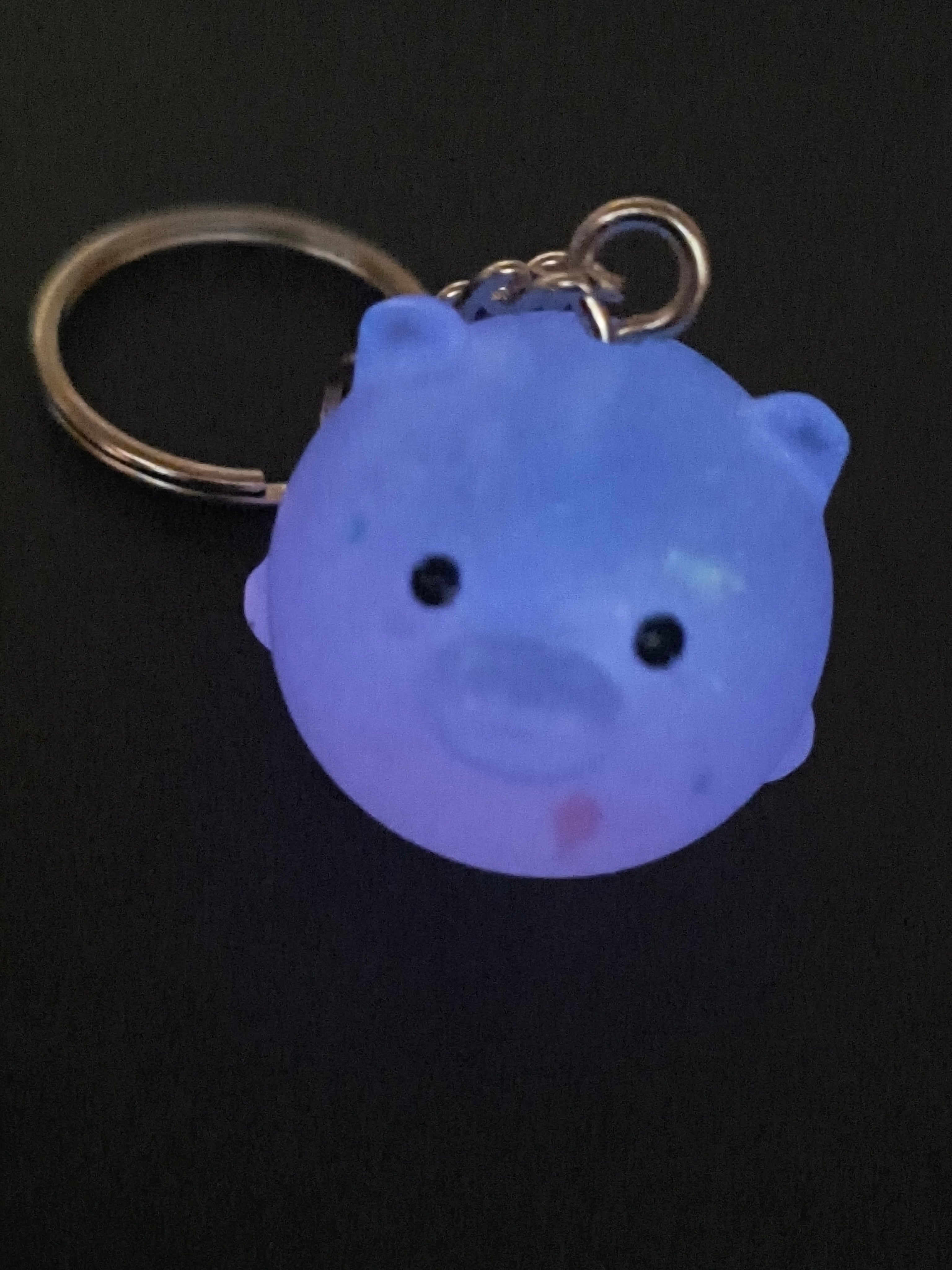 Porte clef phosphorescent